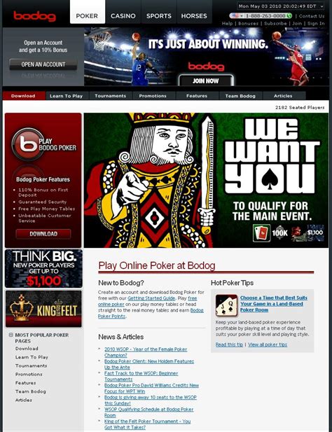 bodog net